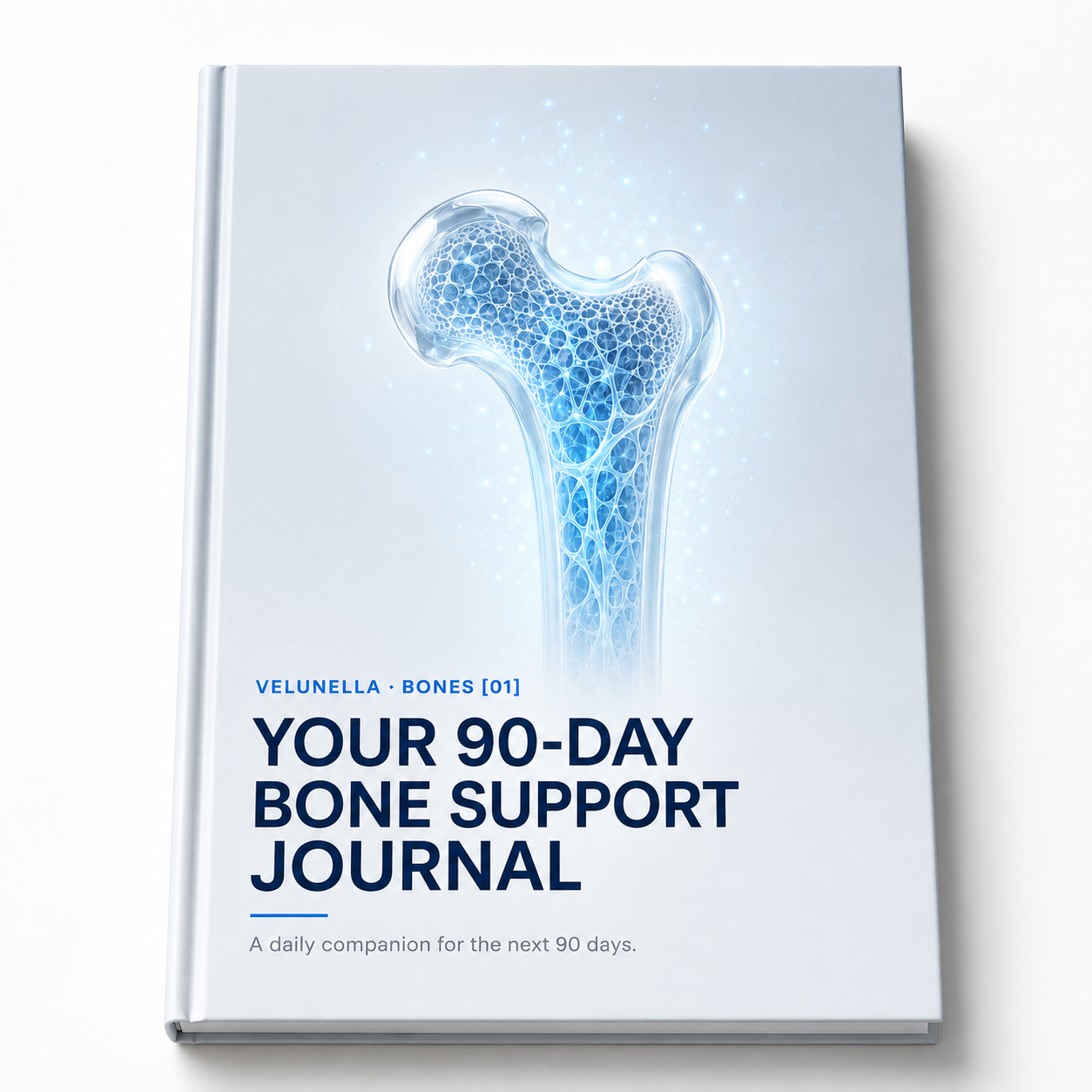 90-DAY BONE SUPPORT JOURNAL